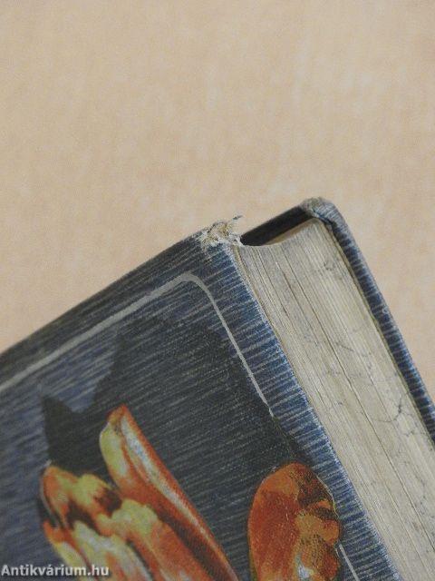 Árnyképek I-II./Oceania