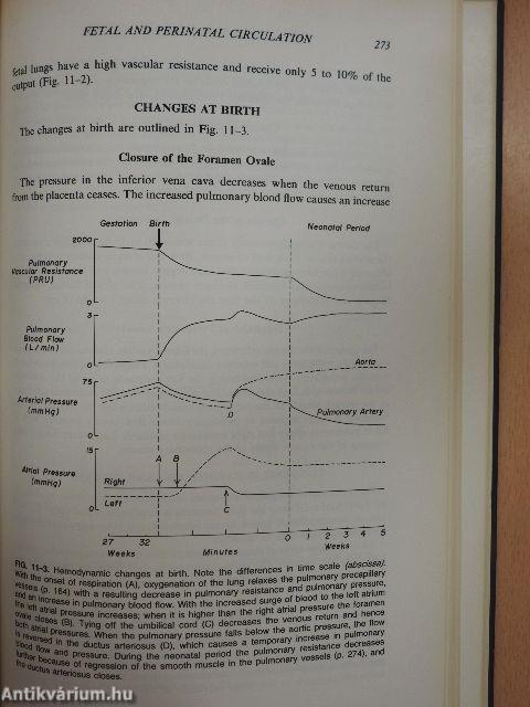 The Human Cardiovascular System