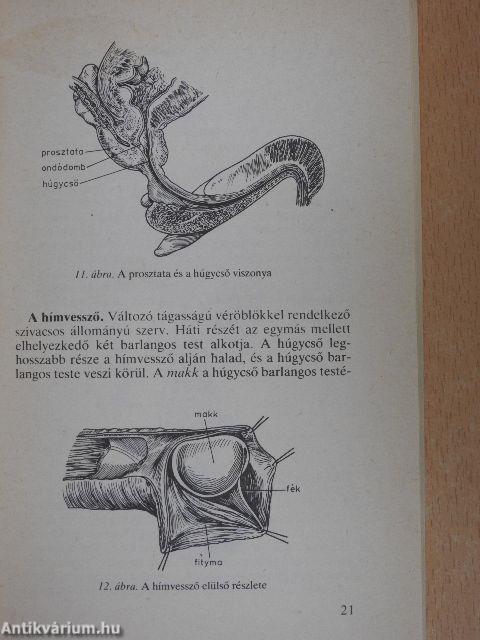 Tanácsok prosztatabetegeknek