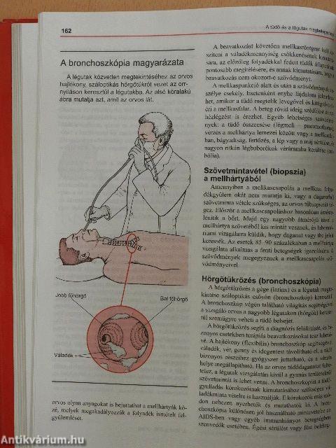 MSD Orvosi Kézikönyv a Családban