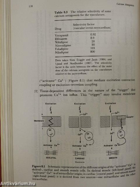 Calcium Antagonists