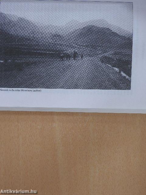 The Private World of Ottoman Women