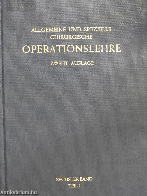 Die Eingriffe an der Brust und in der Brusthöhle VI/1.