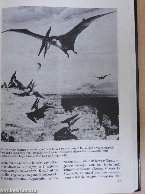 Eleven találmányok