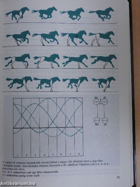 Eleven találmányok