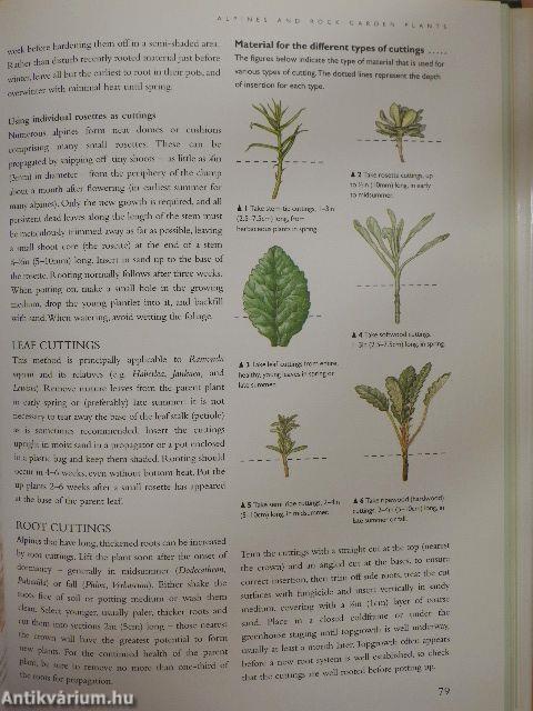 The Complete Book of Plant Propagation