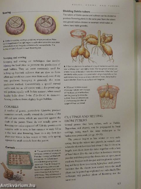 The Complete Book of Plant Propagation