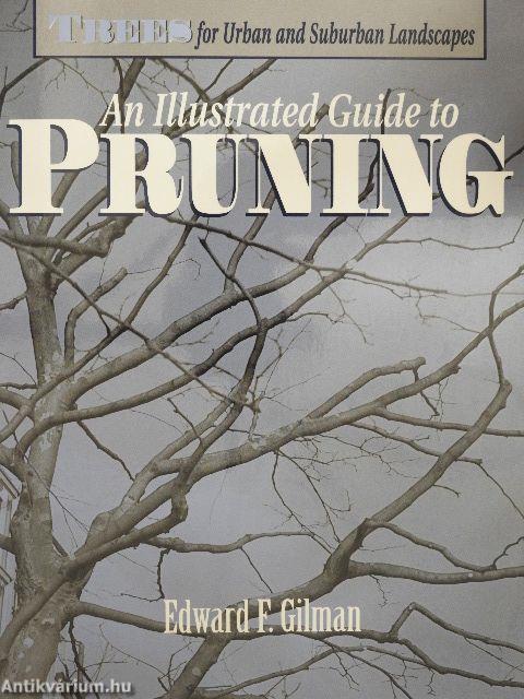 An Illustrated Guide to Pruning