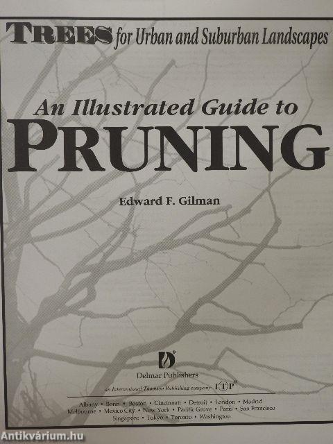 An Illustrated Guide to Pruning