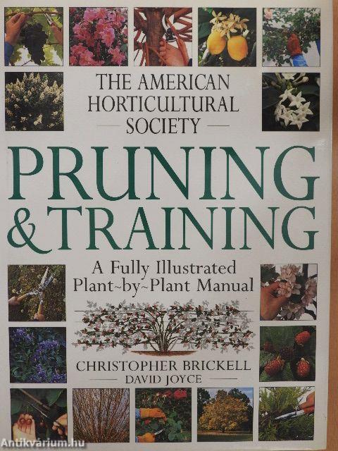 Pruning & Training