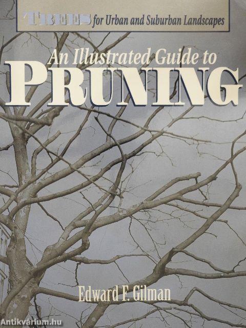 An Illustrated Guide to Pruning