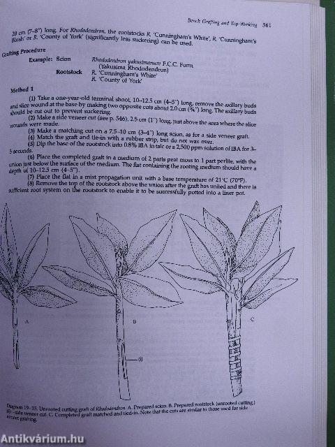 Practical Woody Plant Propagation for Nursery Growers I.