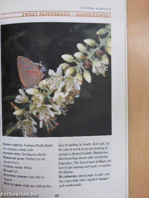 Butterfly Gardens