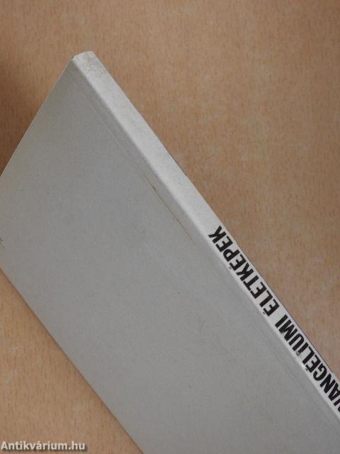 Evangéliumi életképek