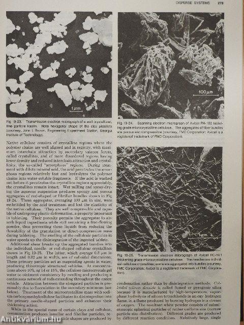 Remington's Pharmaceutical Sciences