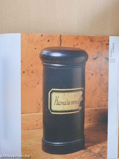 Patikai emlékek - Fatégelyek