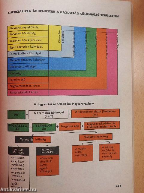 Szemléltető politikai gazdaságtan