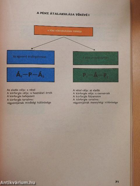 Szemléltető politikai gazdaságtan
