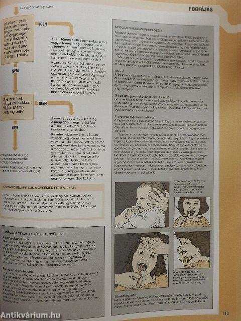 A család orvosa