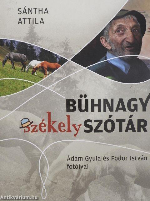 Bühnagy székely szótár