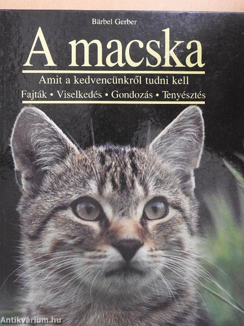 A macska