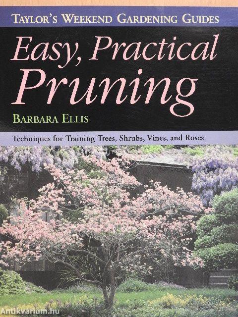 Easy, Practical Pruning