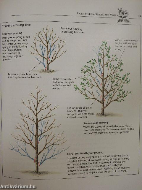 Easy, Practical Pruning