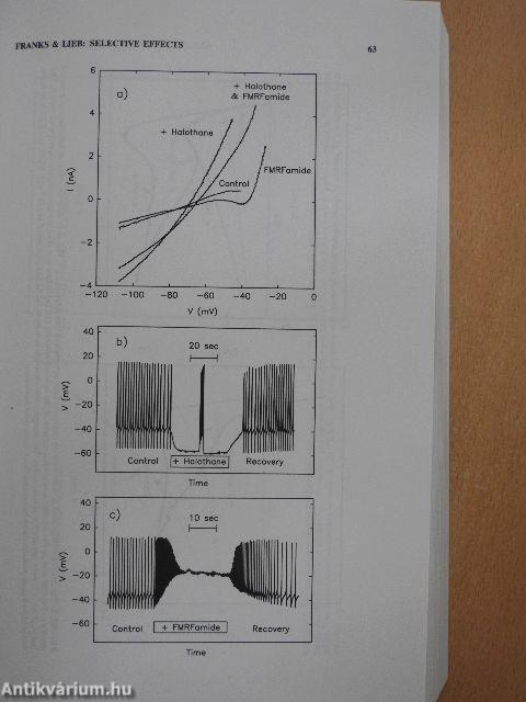 Molecular and Cellular Mechanisms of Alcohol and Anesthetics