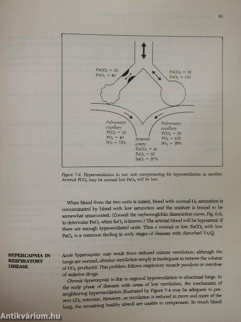 Introduction to Respiratory Physiology