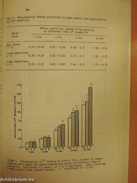 Functional Aspects of the Normal, Hypertrophied, and Failing Heart