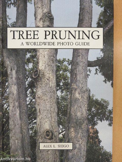 Tree Pruning