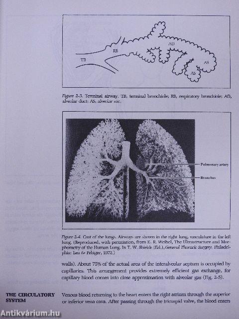 Introduction to Respiratory Physiology