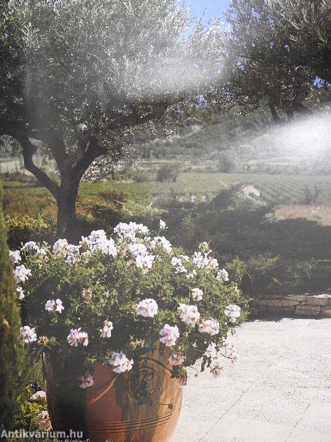 Gardens in Provence