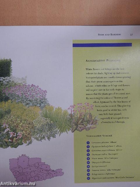 The RHS book of Planting Schemes