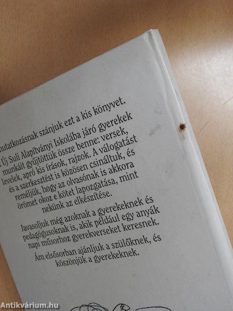 Mi sulink az Új Suli