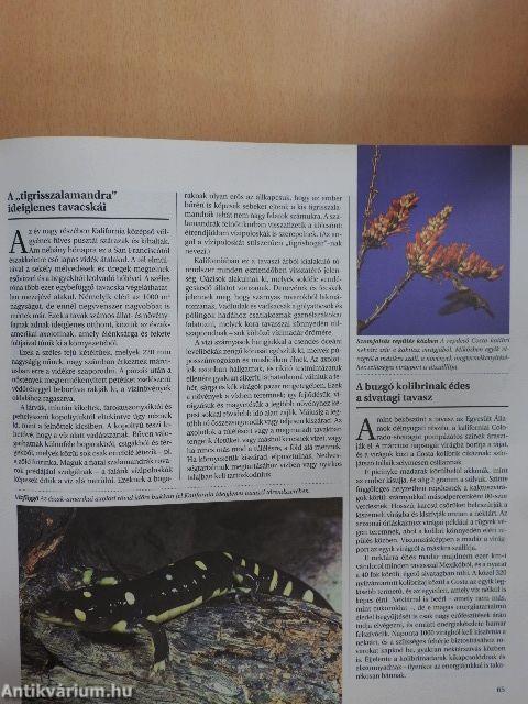 Az állatvilág kalendáriuma