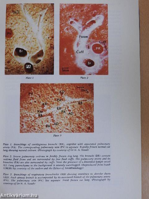 Applied Respiratory Physiology