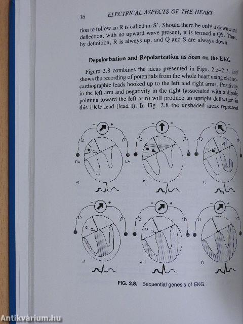 Cardiovascular Physiology