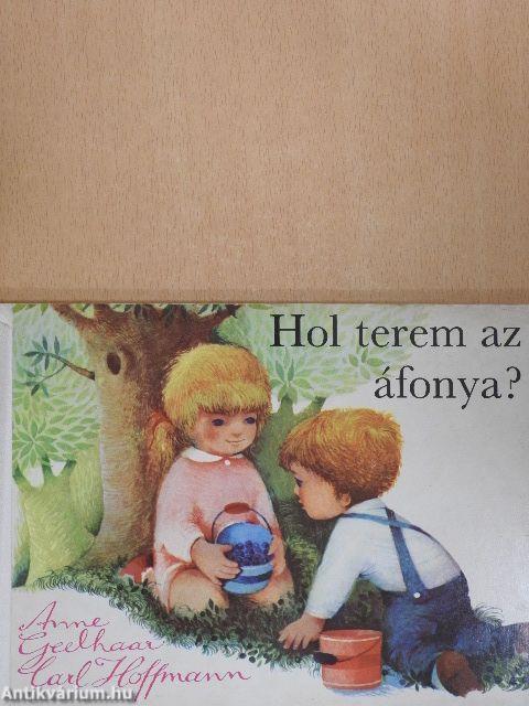 Hol terem az áfonya?