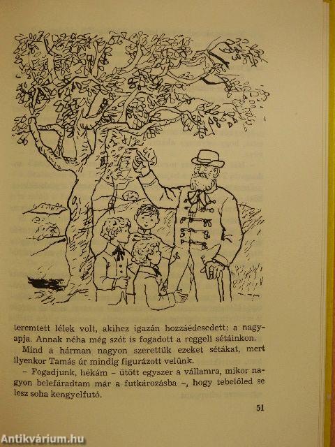 Dióbél királyfi