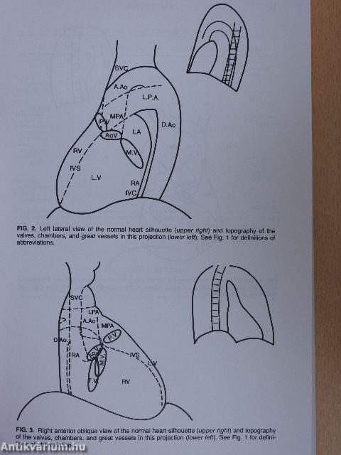 Introduction to Clinical Cardiology