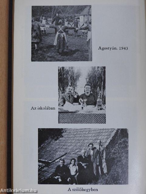 Hova tűntek a szitakötők?