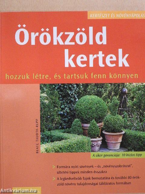 Örökzöld kertek