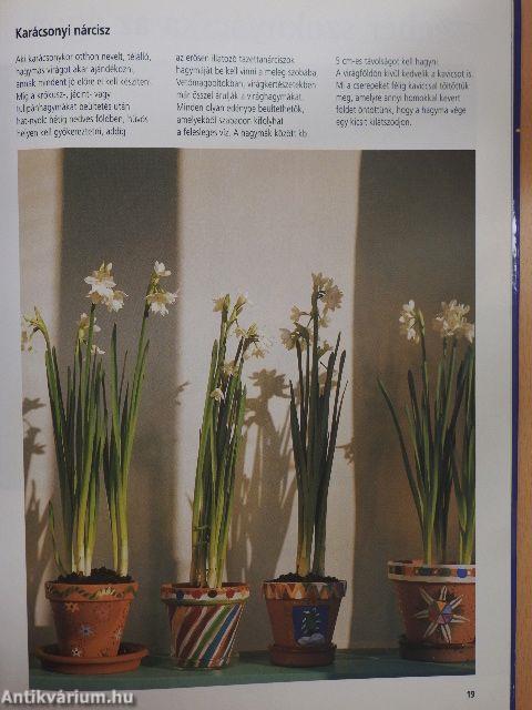 Karácsonyi ötletek