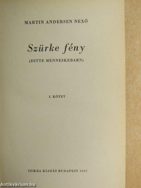 Szürke fény I-II.