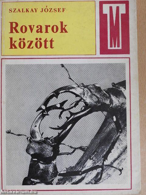 Rovarok között