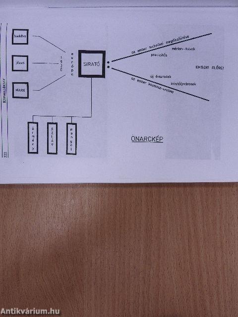 A nyelvleírás lehetőségei és határai