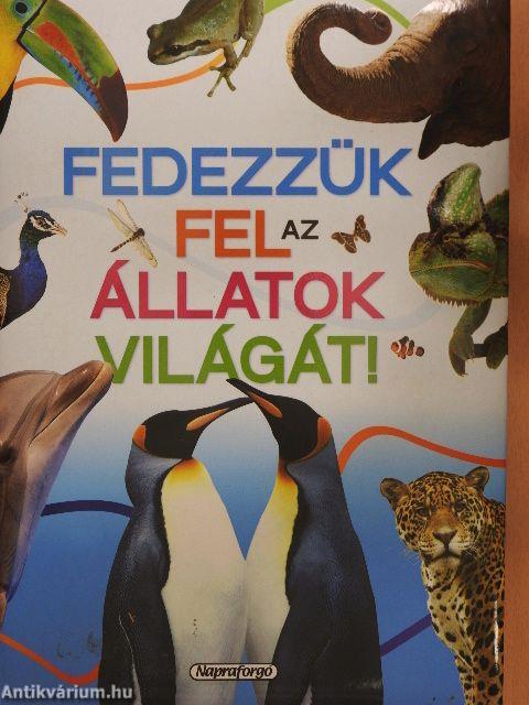 Fedezzük fel az állatok világát!