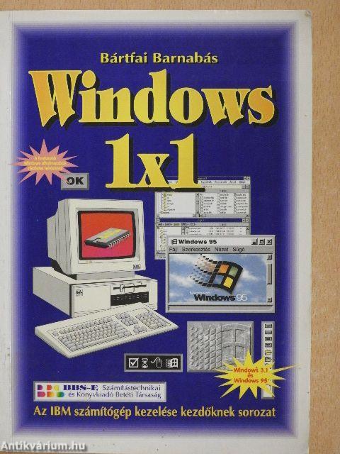 Windows 1x1