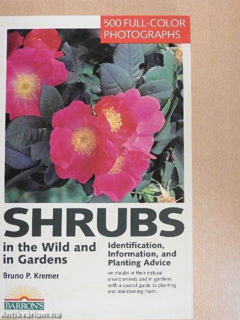 Shrubs in the Wild and in Gardens